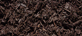 Bellingham Mulch | Bellingham Beauty Bark