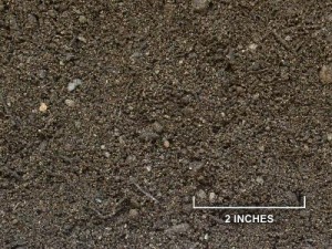 GardenBlenz Soil | Bellingham Garden Soil