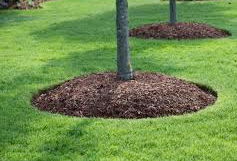 Bellingham Mulch | Mulch Bellingham